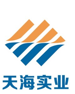 最新有限责任公司，创新、发展与以人为本管理的实践典范