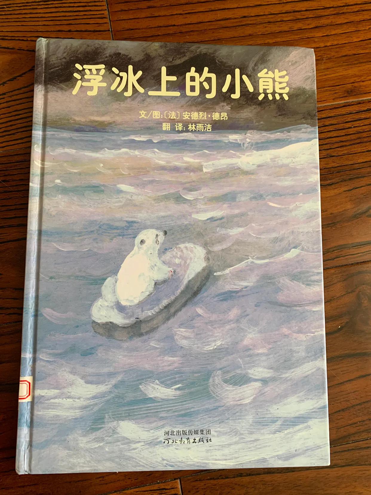 波西和皮普最新篇章，探索未知，勇往直前之旅