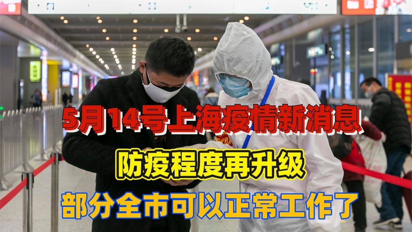 上海疫情最新动态，全面应对，守护家园安宁