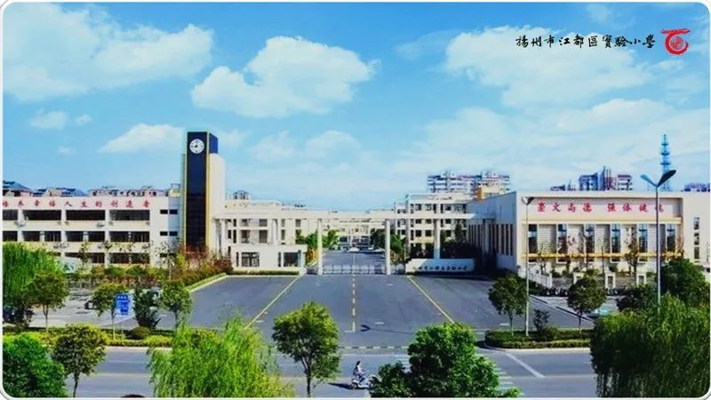 江都区最新发布，引领区域发展的全新篇章