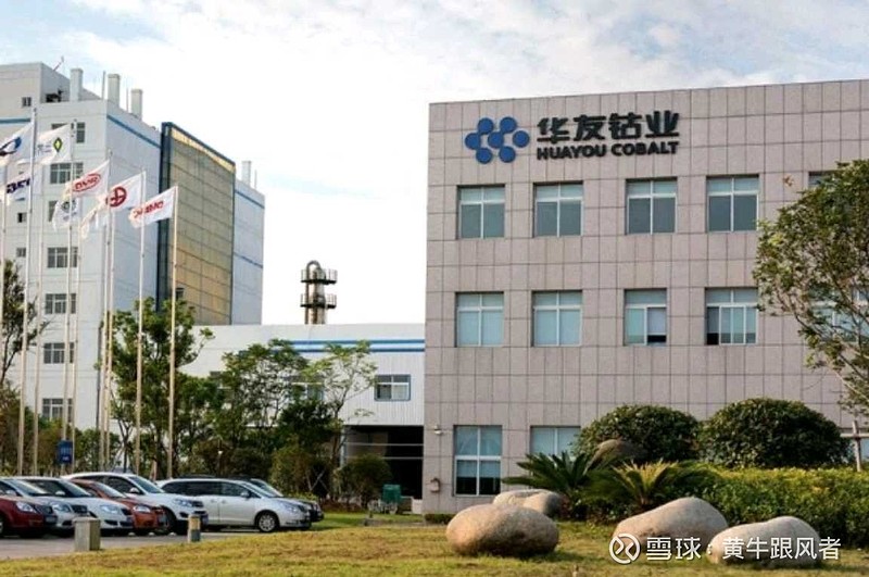 华友钴业引领行业变革，塑造未来蓝图新篇章