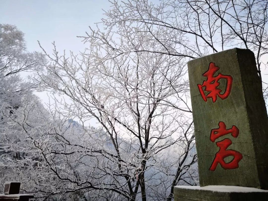 武当山最新通报，揭开神秘面纱，展现全新面貌