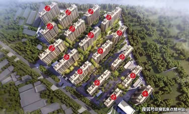 关于603693的最新消息详解与更新动态分析