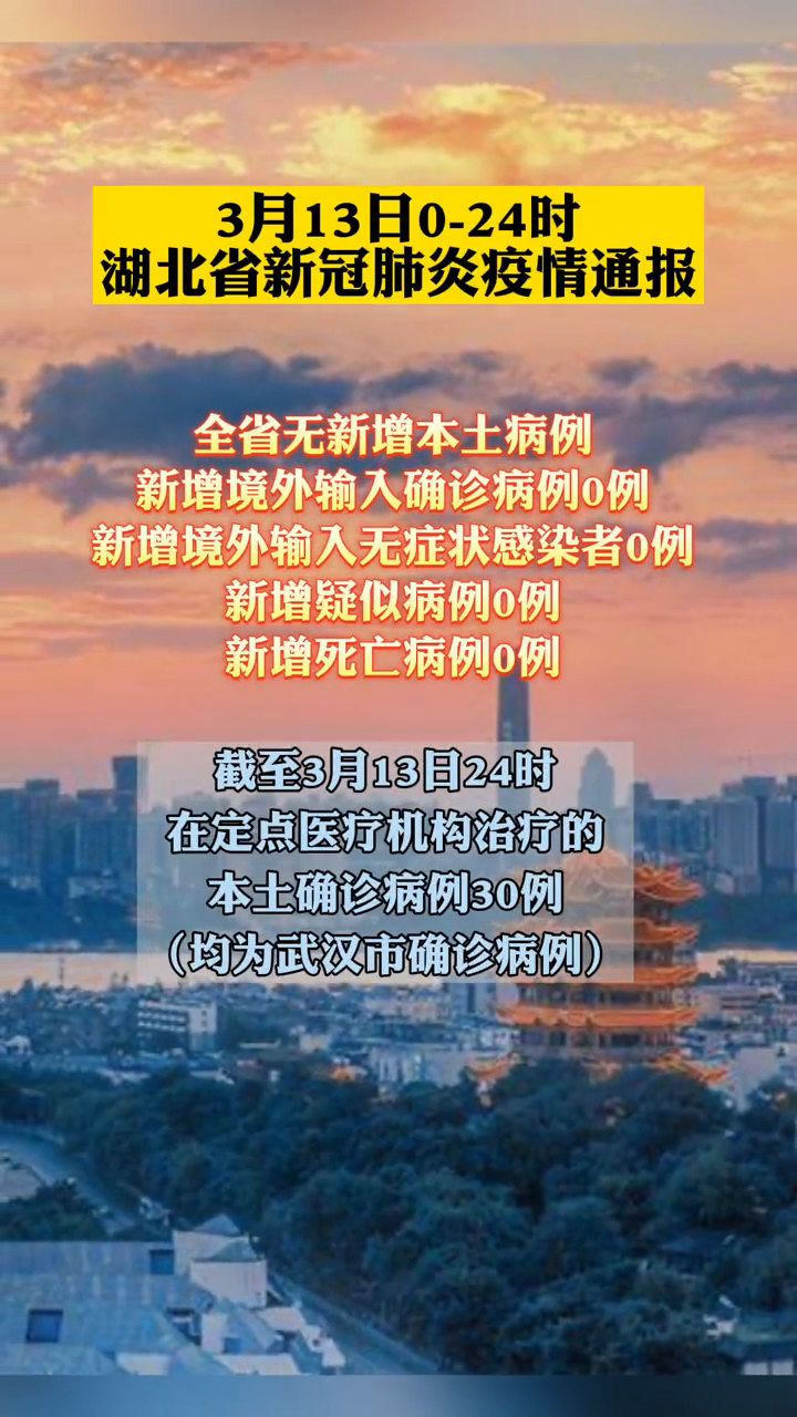 湖北肺炎疫情最新更新，动态与进展