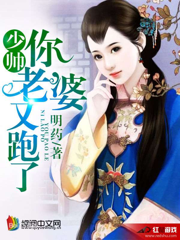 揭开神秘面纱，探寻夫人背后的故事最新揭秘
