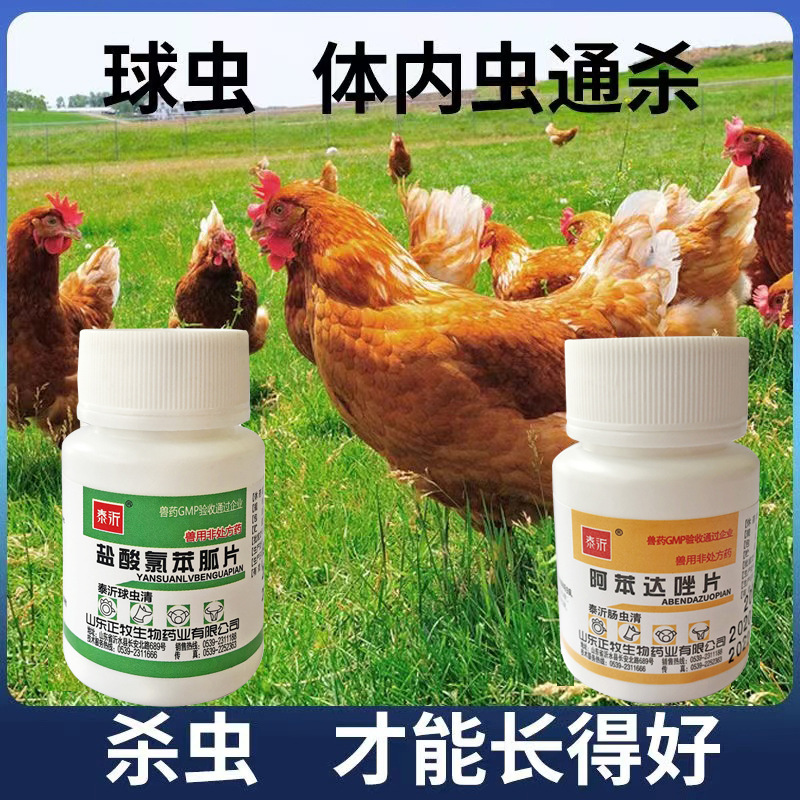 鸡球虫病最新药物治疗进展与新药探索